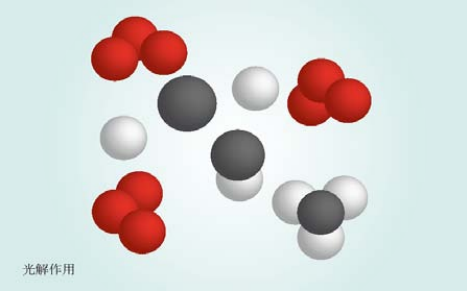 萬綠通環(huán)?？萍?png